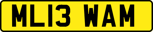 ML13WAM