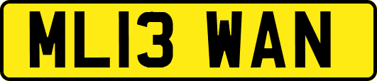 ML13WAN