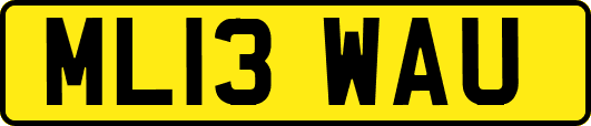ML13WAU