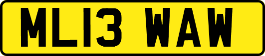 ML13WAW