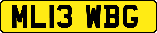 ML13WBG