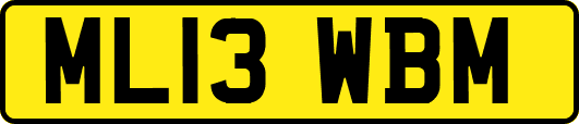 ML13WBM