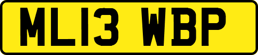ML13WBP