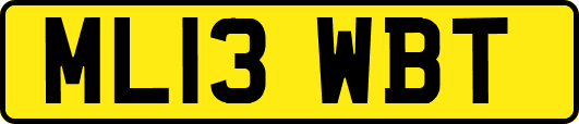 ML13WBT