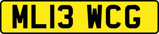 ML13WCG