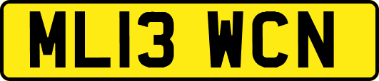 ML13WCN