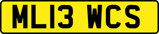 ML13WCS