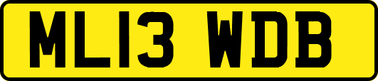 ML13WDB