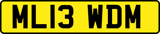 ML13WDM