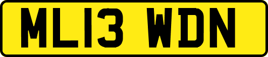 ML13WDN