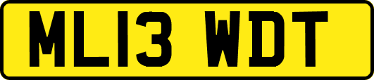ML13WDT
