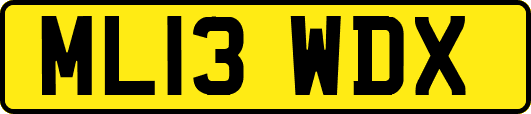 ML13WDX