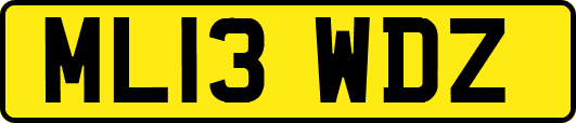 ML13WDZ