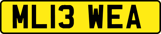 ML13WEA