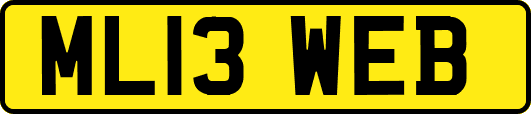 ML13WEB