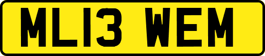 ML13WEM
