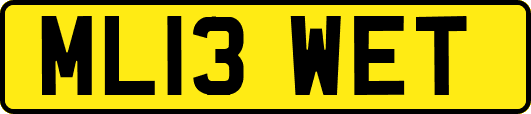 ML13WET
