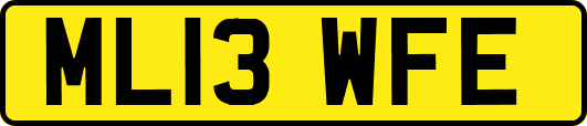 ML13WFE