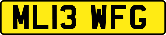 ML13WFG