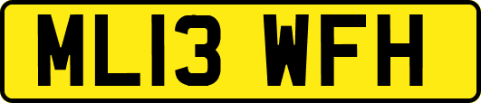 ML13WFH