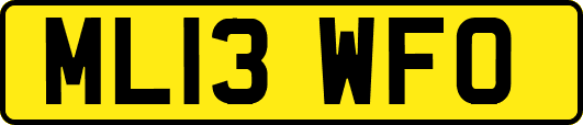 ML13WFO