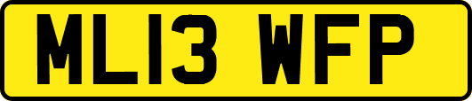 ML13WFP