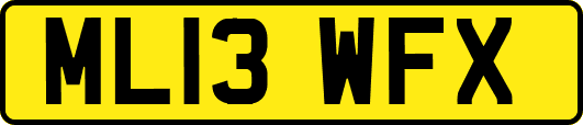 ML13WFX