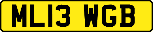 ML13WGB