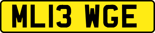 ML13WGE
