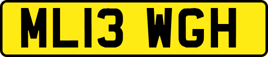 ML13WGH