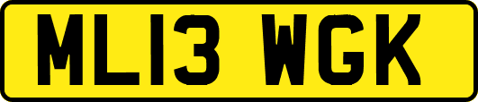 ML13WGK