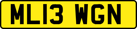 ML13WGN