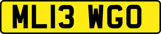 ML13WGO