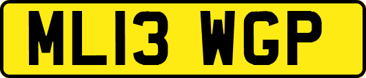 ML13WGP