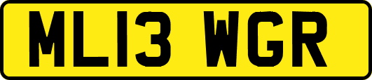 ML13WGR