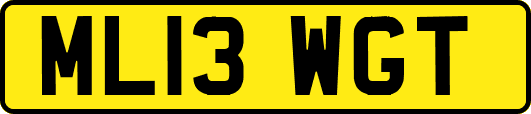 ML13WGT