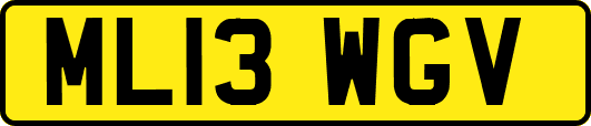 ML13WGV