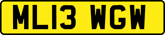 ML13WGW