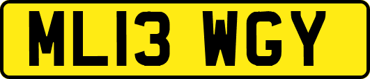 ML13WGY