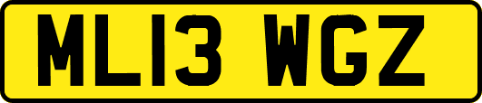 ML13WGZ