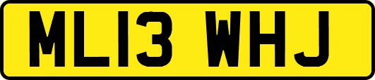 ML13WHJ