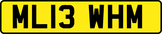 ML13WHM