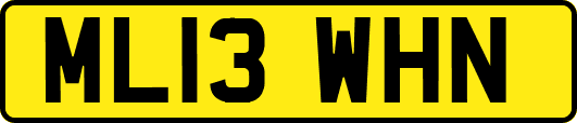 ML13WHN