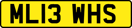 ML13WHS