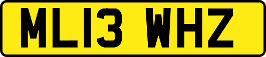 ML13WHZ