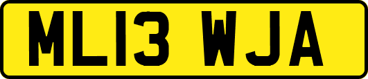 ML13WJA