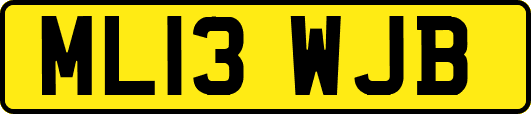 ML13WJB