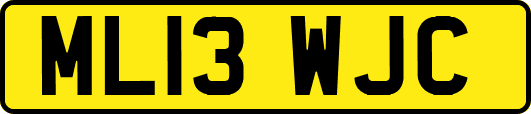 ML13WJC