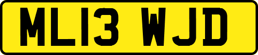 ML13WJD