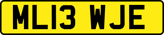 ML13WJE
